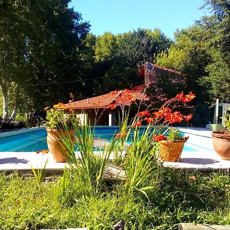 Cabanas Los Platanos La Granja Exteriér fotografie