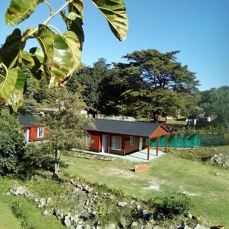 Cabanas Los Platanos La Granja Exteriér fotografie