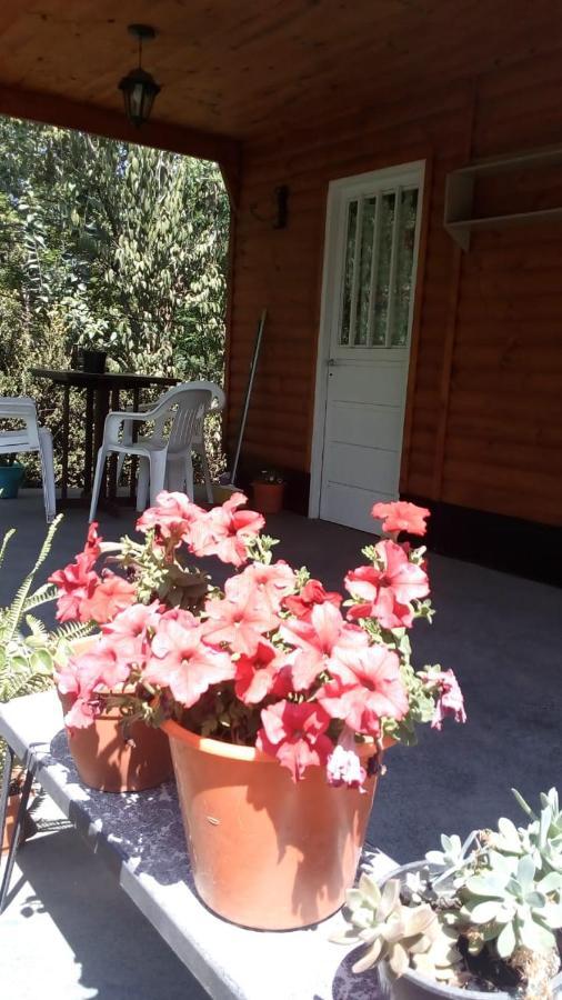 Cabanas Los Platanos La Granja Exteriér fotografie