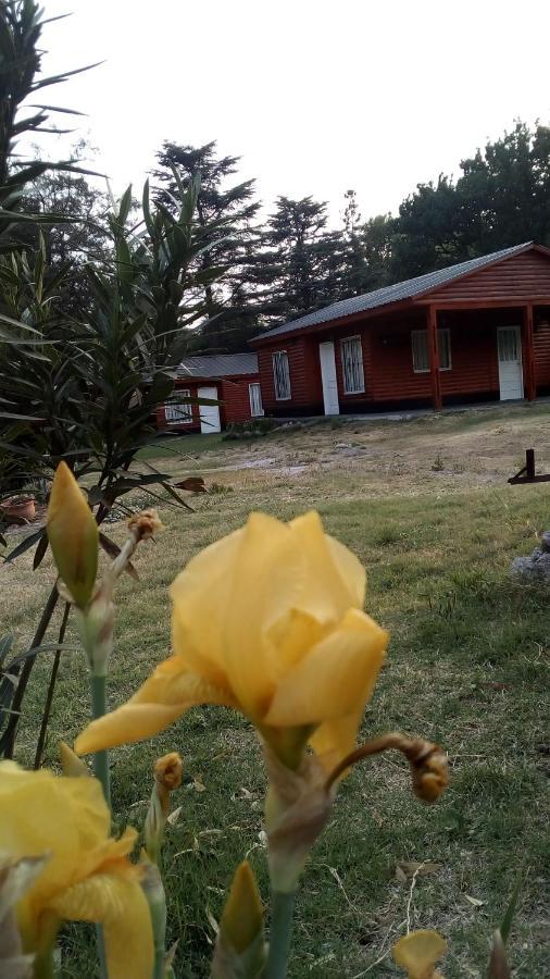 Cabanas Los Platanos La Granja Exteriér fotografie